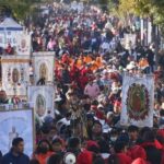 Sacrificaban perros para consumo humano en Oaxaca