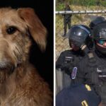 Investigan uso excesivo de fuerza en detención de mujer en centro de Oaxaca