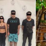 Asaltan hotel de Roberto Palazuelos en Tulum; hay herido y cuatro detenidos