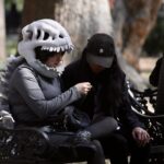 Memes y redes sociales desplazan a las conferencias como vía de aprendizaje cultural