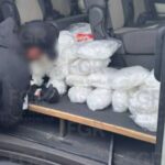 Ocultos en doble fondo de una camioneta, aseguran 50 kilos de metanfetamina en Hidalgo