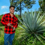 Estado de México celebra el Día Mundial del Mezcal impulsando su tradición y producción artesanal